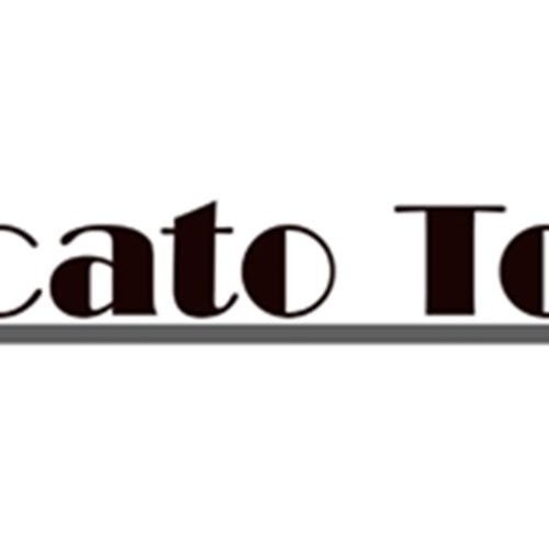 Logo Mercato Totale